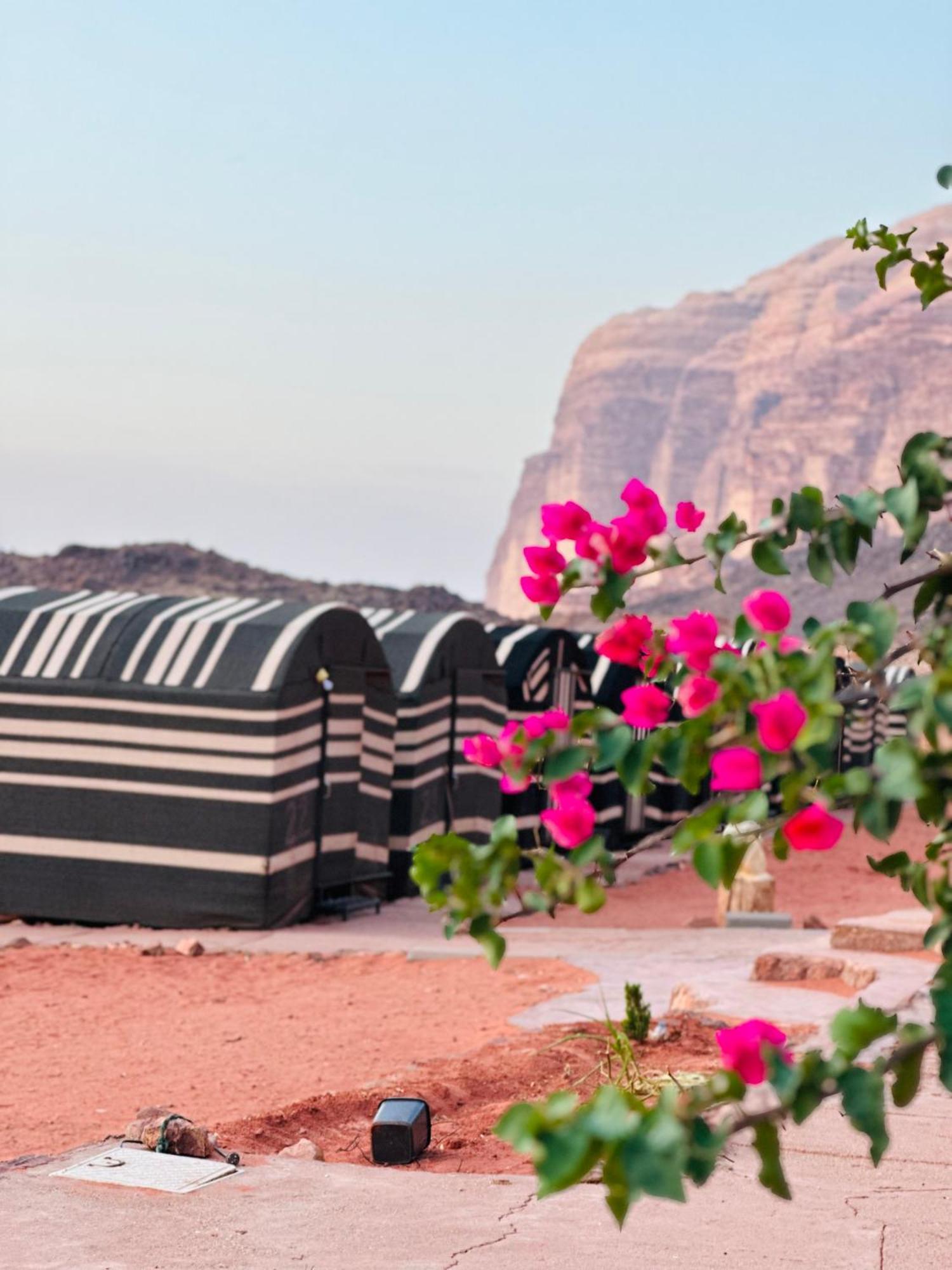 Apartament Sunset Dreams Camp Wadi Rum Zewnętrze zdjęcie